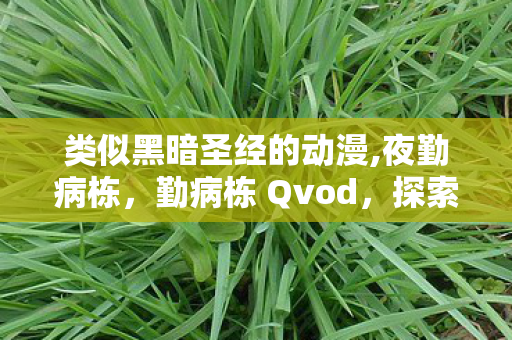 类似黑暗圣经的动漫,夜勤病栋，勤病栋 Qvod，探索医疗剧的新视角