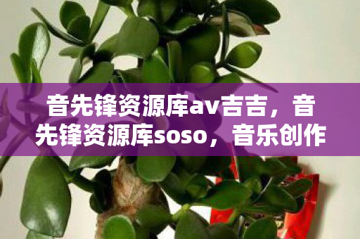 音先锋资源库av吉吉,音先锋资源库soso,音乐创作与分享的新天地 音先锋资源库av吉吉,音先锋资源库soso,音乐创作与分享的新天地