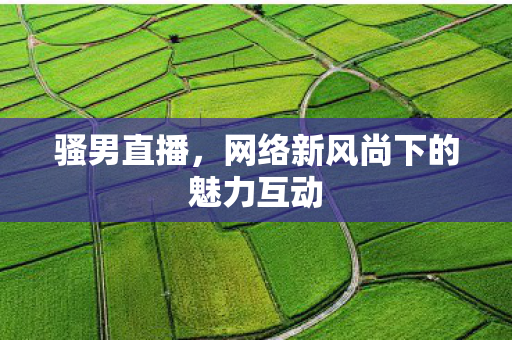 骚男直播,网络新风尚下的魅力互动 骚男直播,网络新风尚下的魅力互动