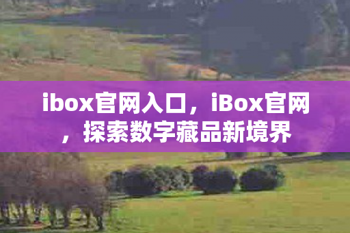 ibox官网入口,iBox官网,探索数字藏品新境界 ibox官网入口,iBox官网,探索数字藏品新境界