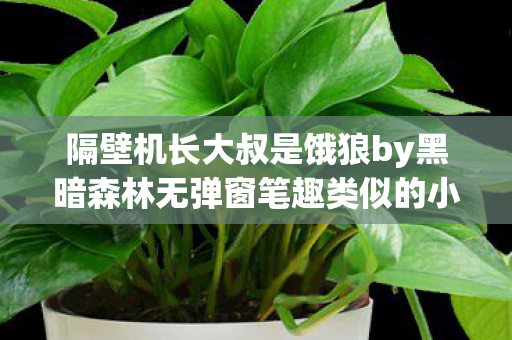 隔壁机长大叔是饿狼by黑暗森林无弹窗笔趣类似的小说，隔壁机长大叔是饿狼