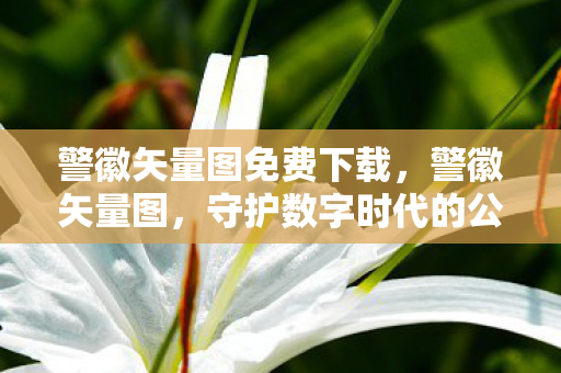 警徽矢量图免费下载，警徽矢量图，守护数字时代的公正与秩序