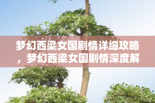 梦幻西梁女国剧情详细攻略，梦幻西梁女国剧情深度解析，爱与勇气的奇幻之旅