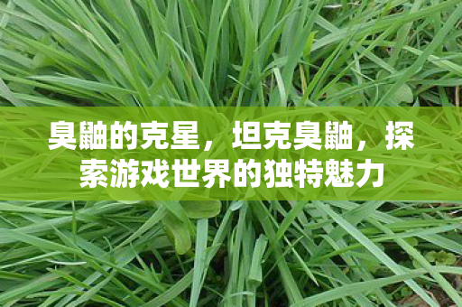 臭鼬的克星，坦克臭鼬，探索游戏世界的独特魅力