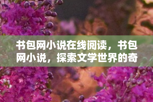 书包网小说在线阅读，书包网小说，探索文学世界的奇妙之旅