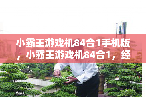 小霸王游戏机84合1手机版，小霸王游戏机84合1，经典回忆的再现