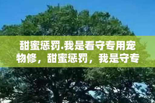 甜蜜惩罚.我是看守专用宠物修，甜蜜惩罚，我是守专用宠物