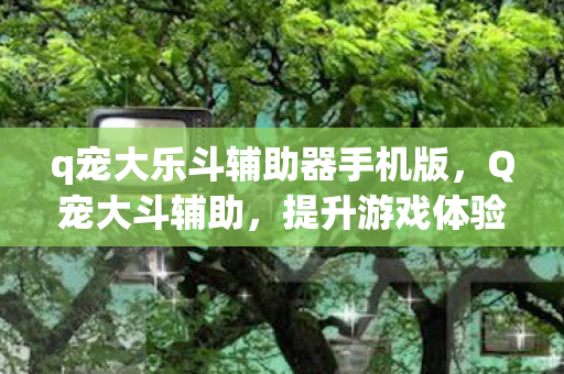 q宠大乐斗辅助器手机版,Q宠大斗辅助,提升游戏体验的得力助手 q宠大乐斗辅助器手机版,Q宠大斗辅助,提升游戏体验的得力助手
