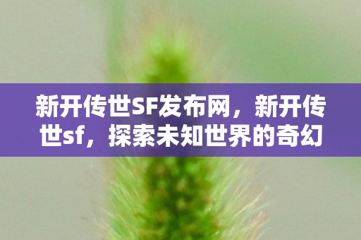 新开传世SF发布网,新开传世sf,探索未知世界的奇幻之旅 新开传世SF发布网,新开传世sf,探索未知世界的奇幻之旅