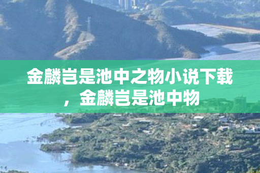 金麟岂是池中之物小说下载,金麟岂是池中物 金麟岂是池中之物小说下载,金麟岂是池中物