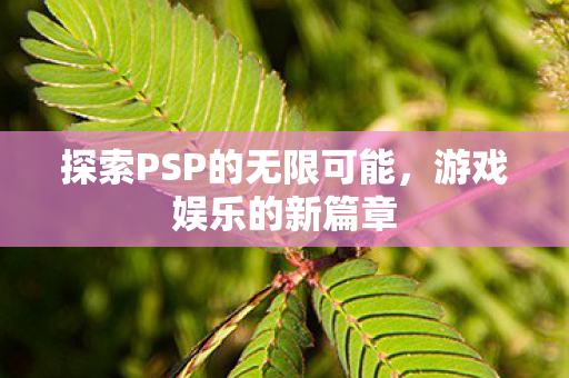 探索PSP的无限可能,游戏娱乐的新篇章 探索PSP的无限可能,游戏娱乐的新篇章