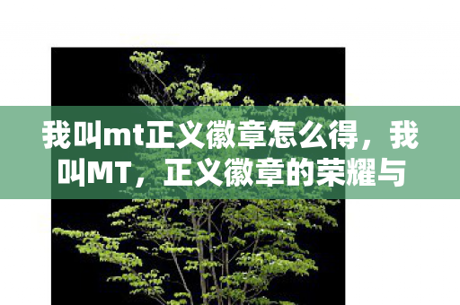 我叫mt正义徽章怎么得,我叫MT,正义徽章的荣耀与传承 我叫mt正义徽章怎么得,我叫MT,正义徽章的荣耀与传承