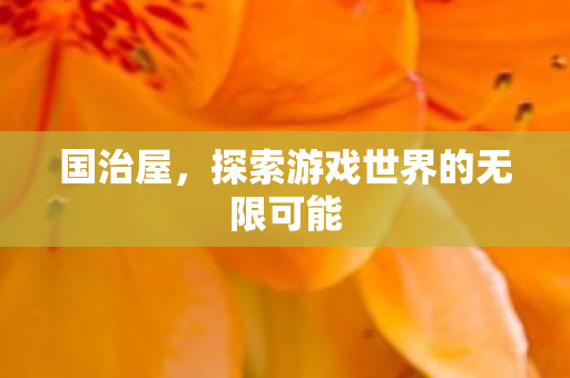 国治屋,探索游戏世界的无限可能 国治屋,探索游戏世界的无限可能