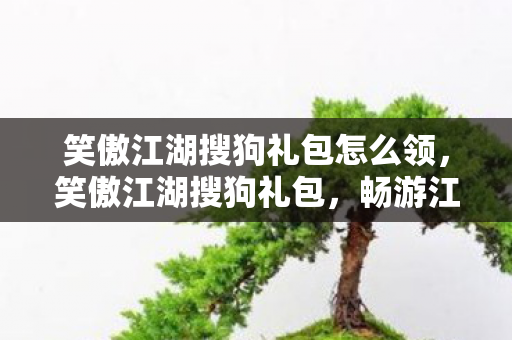笑傲江湖搜狗礼包怎么领，笑傲江湖搜狗礼包，畅游江湖，尽享礼包福利