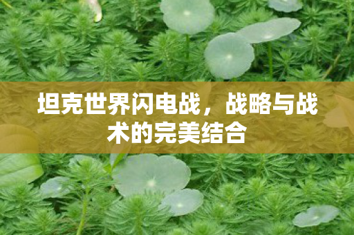 坦克世界闪电战，战略与战术的完美结合