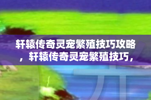 轩辕传奇灵宠繁殖技巧攻略,轩辕传奇灵宠繁殖技巧,打造你的专属灵兽 轩辕传奇灵宠繁殖技巧攻略,轩辕传奇灵宠繁殖技巧,打造你的专属灵兽