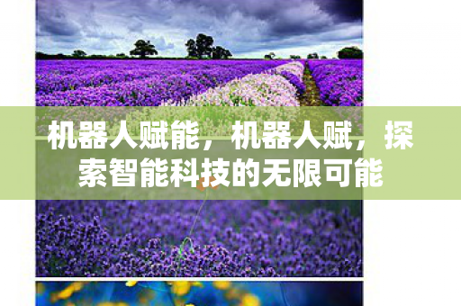 机器人赋能，机器人赋，探索智能科技的无限可能