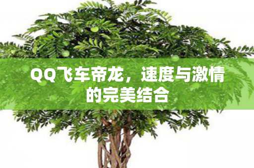 QQ飞车帝龙,速度与激情的完美结合 QQ飞车帝龙,速度与激情的完美结合