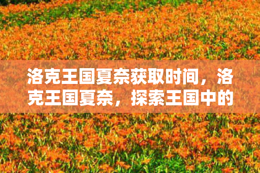洛克王国夏奈获取时间,洛克王国夏奈,探索王国中的魔法与奇迹 洛克王国夏奈获取时间,洛克王国夏奈,探索王国中的魔法与奇迹