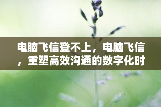 电脑飞信登不上,电脑飞信,重塑高效沟通的数字化时代工具 电脑飞信登不上,电脑飞信,重塑高效沟通的数字化时代工具