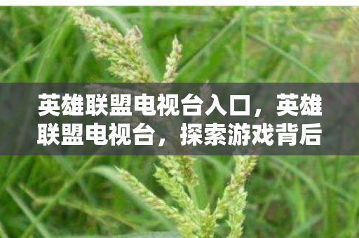 英雄联盟电视台入口，英雄联盟电视台，探索游戏背后的创意与激情