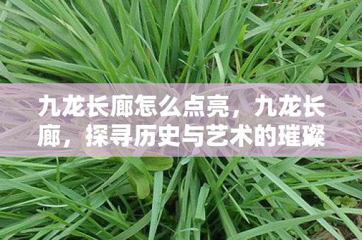 九龙长廊怎么点亮，九龙长廊，探寻历史与艺术的璀璨交汇