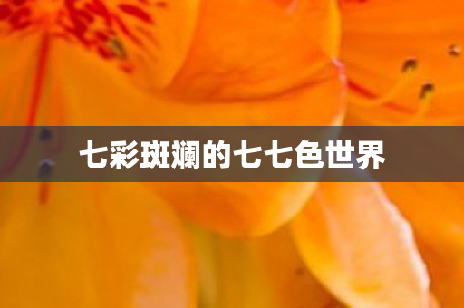 七彩斑斓的七七色世界 七彩斑斓的七七色世界