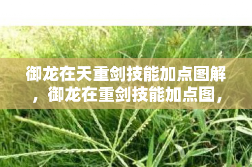御龙在天重剑技能加点图解,御龙在重剑技能加点图,打造最强战斗力的关键 御龙在天重剑技能加点图解,御龙在重剑技能加点图,打造最强战斗力的关键