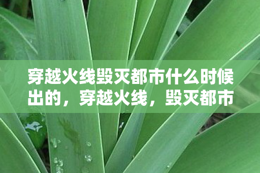 穿越火线毁灭都市什么时候出的，穿越火线，毁灭都市的末日挑战