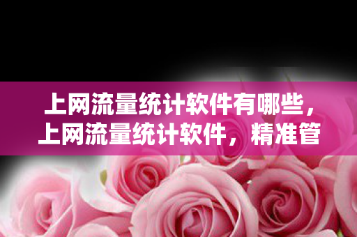 上网流量统计软件有哪些，上网流量统计软件，精准管理网络流量的利器