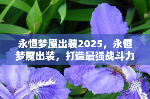 永恒梦魇出装2025,永恒梦魇出装,打造最强战斗力的关键 永恒梦魇出装2025,永恒梦魇出装,打造最强战斗力的关键