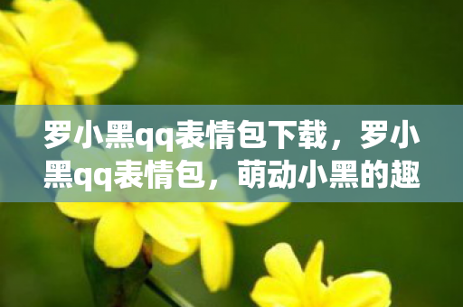 罗小黑qq表情包下载，罗小黑qq表情包，萌动小黑的趣味世界