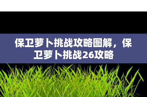 保卫萝卜挑战攻略图解,保卫萝卜挑战26攻略 保卫萝卜挑战攻略图解,保卫萝卜挑战26攻略
