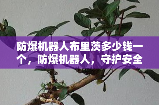 防爆机器人布里茨多少钱一个,防爆机器人,守护安全,预防危险 防爆机器人布里茨多少钱一个,防爆机器人,守护安全,预防危险