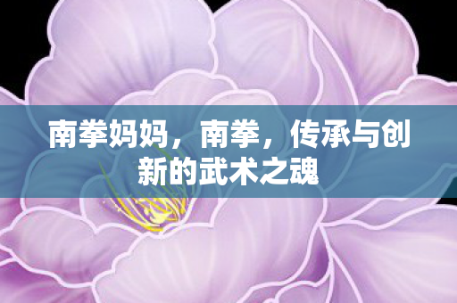 南拳妈妈，南拳，传承与创新的武术之魂