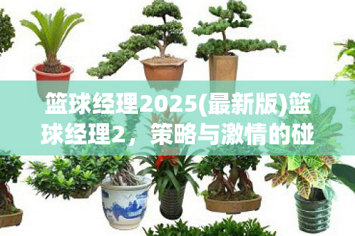 篮球经理2025(最新版)篮球经理2，策略与激情的碰撞