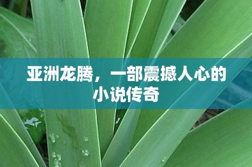 亚洲龙腾,一部震撼人心的小说传奇 亚洲龙腾,一部震撼人心的小说传奇