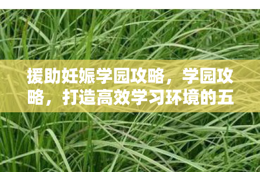 援助妊娠学园攻略,学园攻略,打造高效学习环境的五大秘诀 援助妊娠学园攻略,学园攻略,打造高效学习环境的五大秘诀