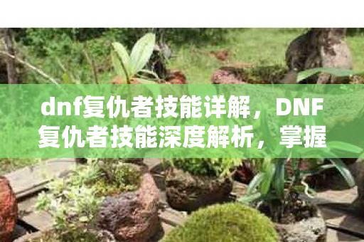 dnf复仇者技能详解,DNF复仇者技能深度解析,掌握复仇之力,驰骋阿拉德大陆 dnf复仇者技能详解,DNF复仇者技能深度解析,掌握复仇之力,驰骋阿拉德大陆