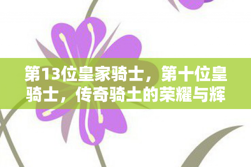第13位皇家骑士,第十位皇骑士,传奇骑土的荣耀与辉煌 第13位皇家骑士,第十位皇骑士,传奇骑土的荣耀与辉煌
