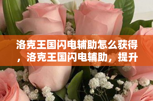 洛克王国闪电辅助怎么获得,洛克王国闪电辅助,提升游戏体验的得力助手 洛克王国闪电辅助怎么获得,洛克王国闪电辅助,提升游戏体验的得力助手