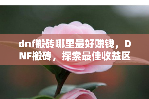 dnf搬砖哪里最好赚钱,DNF搬砖,探索最佳收益区域 dnf搬砖哪里最好赚钱,DNF搬砖,探索最佳收益区域