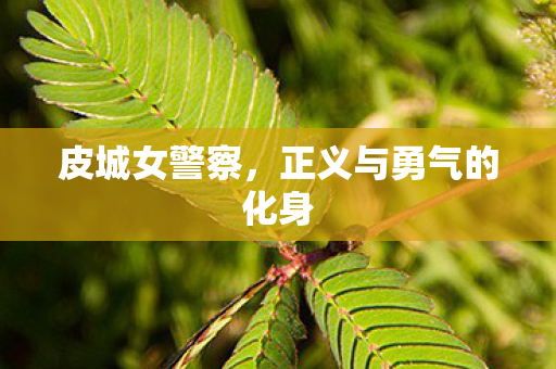 皮城女警察，正义与勇气的化身