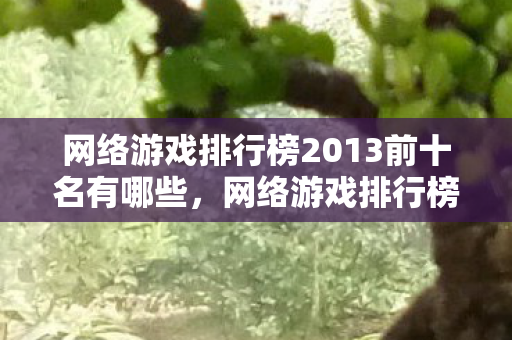 网络游戏排行榜2013前十名有哪些,网络游戏排行榜2013前十名 网络游戏排行榜2013前十名有哪些,网络游戏排行榜2013前十名