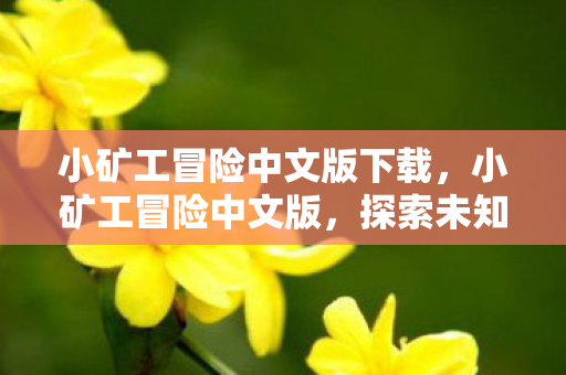 小矿工冒险中文版下载,小矿工冒险中文版,探索未知的矿洞,挖掘宝藏的奇妙之旅 小矿工冒险中文版下载,小矿工冒险中文版,探索未知的矿洞,挖掘宝藏的奇妙之旅