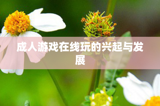成人游戏在线玩的兴起与发展 成人游戏在线玩的兴起与发展