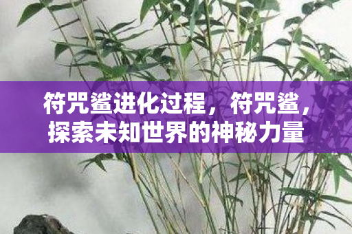 符咒鲨进化过程,符咒鲨,探索未知世界的神秘力量 符咒鲨进化过程,符咒鲨,探索未知世界的神秘力量