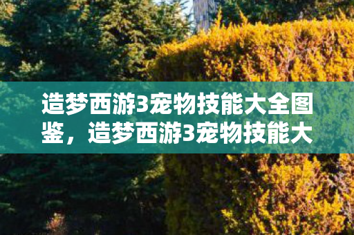 造梦西游3宠物技能大全图鉴,造梦西游3宠物技能大全 造梦西游3宠物技能大全图鉴,造梦西游3宠物技能大全
