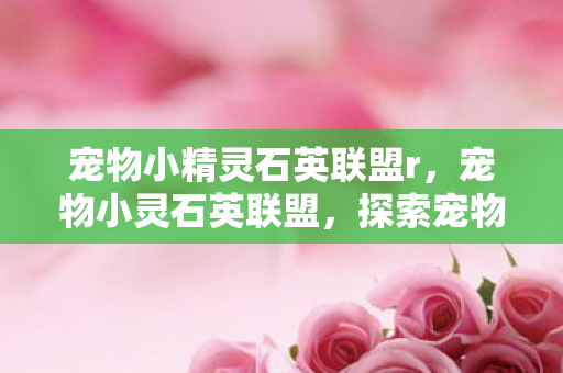 宠物小精灵石英联盟r,宠物小灵石英联盟,探索宠物世界的奇妙之旅 宠物小精灵石英联盟r,宠物小灵石英联盟,探索宠物世界的奇妙之旅