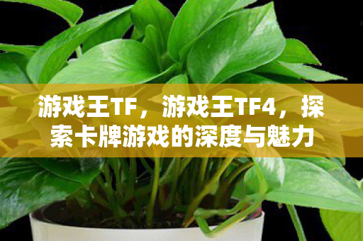 游戏王TF,游戏王TF4,探索卡牌游戏的深度与魅力 游戏王TF,游戏王TF4,探索卡牌游戏的深度与魅力